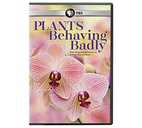Plants Behaving Badly