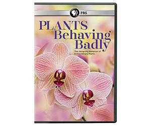 Plants Behaving Badly