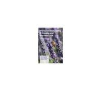Plants For Beekeeping In Canada And The Northern Usa