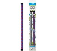 ciano cln5 rampe led blanche et rgb 1,5w + transfo pour nexus betta life 5c et diamond 14c ciano