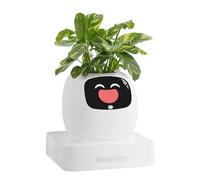 PLANTSIO Ivy Pot de fleurs intelligent pour la décoration de la maison, compagnon d'installation de bureau soigné, cadeau intelligent pour animal de compagnie, robot, conseils sur l'entretien des