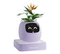 PLANTSIO Ivy Pot de fleurs intelligent pour plantes de décoration d'intérieur Compagnon d'installation de bureau soigné Cadeau Jardinière intelligente pour animal de compagnie Robot Conseils sur