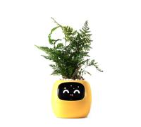 PLANTSIO Pot de Plantes Intelligent pour Animaux de Compagnie avec Vase Connecté et Assistance pour les Soins des Plantes par Emoji, Interaction par Gestes Adorables, Vase Moderne pour la Maison/Vase