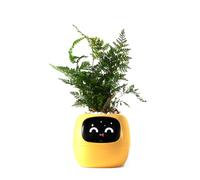 PLANTSIO Robot de Plantation Intelligent avec émojis pour l'entretien des Plantes, Charmant Compagnon des Plantes avec Interaction gestuelle complète, Pot de Jardin, Cadeau pour Le Bureau (Yellow)