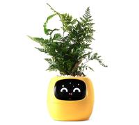 PLANTSIO Robot de Plantation Intelligent avec émojis pour l'entretien des Plantes, Charmant Compagnon des Plantes avec Interaction gestuelle complète, Pot de Jardin, Cadeau pour Le Bureau (Jaune)