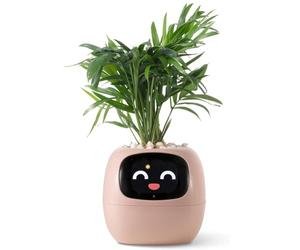 PLANTSIO Robot de Plantation Intelligent avec émojis pour l'entretien des Plantes, Charmant Compagnon des Plantes avec Interaction gestuelle complète, Pot de Jardin, Cadeau pour Le Bureau (Rosa)