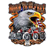 Plaque 60x50cm Born To Be Free Aigle Et Vielle Moto Usa Tole Emboutie
