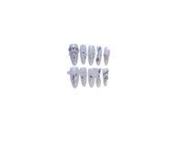 Plaque à ongles d'amélioration du tempérament, [manucure à la main] plaque à ongles patch à ongles étudiante Spice Girl (paquet de 10 pièces)(Size:S)