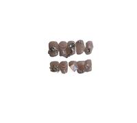 Plaque à ongles d'amélioration du tempérament, [manucure à la main] plaque à ongles patch à ongles étudiante Spice Girl (paquet de 10 pièces)(Size:L)