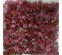 Plaque artificielle de vigne vierge rouge JET7GARDEN