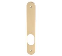 Plaque borgne MORGAN SGN2 A2P** laiton poli - - B-MORGA-LP08