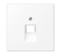 Plaque Centrale Téléphonique Ls Blanc Mat (référence : Jung Ls969-1uawwm) Ls9691uawwm