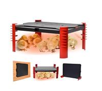 Plaque chauffante pour poussins, chauffe-poussins et chauffage pour poulailler 2-en-1, plaque chauffante pour l'élevage des poussins, couveuse artificielle, 150 W, 30 x 40 cm