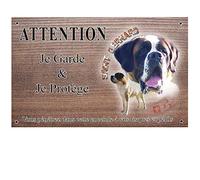 Plaque Chien personnalisée Male Saint-Bernard - pré perforée et vis données. De 30 à 15 cm