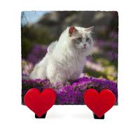 Plaque Commémorative Carrée Personnalisée avec Photo Et Texte Ardoise en Forme De Coeur pour Chien Chat avec Présentoir en Forme De Coeur - Taille 15x15 cm