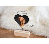 Plaque commémorative personnalisée en acrylique avec image de chien - Plaque commémorative pour animaux de compagnie - Plaque en acrylique A5 sur base en bois - Cadeau souvenir pour animaux décédés -