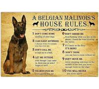 Plaque créative en étain avec inscription « House Rules by Belgian Malinois Dog Rules » - Décoration murale amusante - Cadeau pour femme, homme, amis - 20,3 x 30,5 cm