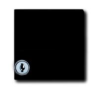 Plaque d'adaptation ABB Busch-Jaeger avec texte et fonction de verrouillage - 2CKA001710A1985