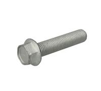 Plaque de bordage, soufflet de suspension pneumatique BPW 02.5070.96.00