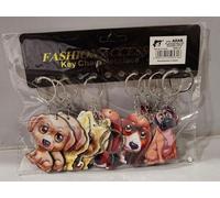 Plaque de chien en plastique (12 pièces)