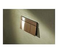 Hansgrohe Plaque de déclenchement iFrame Element E 66003140 – double chasse d'eau, bronze brossé