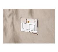 hansgrohe iFrame Original Q Plaque de déclenchement pour WC, 66001000,