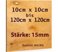 Plaque de contreplaqué 50 x 120 cm - Épaisseur : 15 mm - Découpe multiplex en bouleau - Qualité WG/WG - Idéal et bon marché en dehors du champ de vision