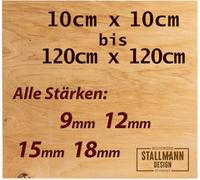 Plaque de contreplaqué 60 x 100 cm - Épaisseur : 18 mm - Découpe multiplex en bouleau - Qualité BB/WG - Idéal et bon marché en dehors du champ de vision
