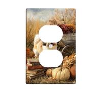 Plaque de couverture d'interrupteur pour interrupteur en forme de chien d'automne, canin beige chaud avec décoration d'automne, plaques murales thermoplastiques, prise duplex simple de taille standard