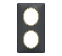 Plaque de finition 2 postes Schneider Electric Ovalis S340724E coloris anthracite avec liseré laiton l.87 x P.10 x H.158 mm