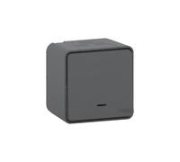 Plaque 1 poste SCHNEIDER ELECTRIC Odace Styl blanc