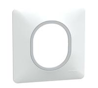 Plaque de finition Ovalis - Blanc bague en Argent Chromé - 1 poste