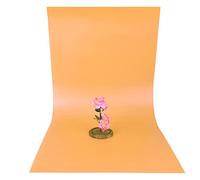 Plaque de Fond en PVC Givré, Accessoire de Photographie 120x60cm, Blanc - Résistante et Imperméable, Idéale pour Produits (Orange)