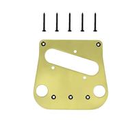 Plaque de montage en métal pour guitare électrique - Adaptateur de plaque de base pour instrument de musique - Pièces de rechange pour guitare électrique stable