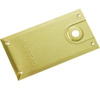 Plaque de pivot grand modèle 710.02GR pour série 8610 laiton poli - LCN - 3050705080