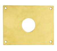 Plaque de propreté trou rond 24 laiton poli 160x90mm - HERACLES - 251952-TR24