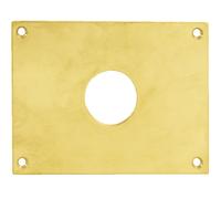 Plaque de propreté trou rond 30 laiton poli 160 x 90 mm HERACLES 251952-TR30