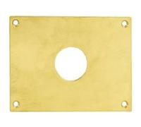 Plaque de propreté trou rond 34 laiton poli 65x65mm - HERACLES - 251452-TR34