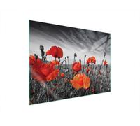DarHaus Plaque de recouvrement, 70 x 52 cm, en verre, pour cuisinières électrique, à induction, convient comme décoration, protection anti-éclaboussures ou planche à découper, Coquelicots Rouge
