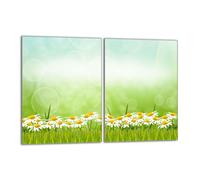 Plaque de protection en verre pour poêle 2x40x52 Marguerites