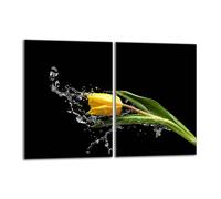 Plaque de protection en verre pour poêle 2x40x52 Tulipe
