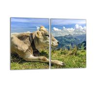 Plaque de protection en verre pour poêle 2x40x52 Vache