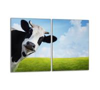 Plaque de protection en verre pour poêle 2x40x52 Vache