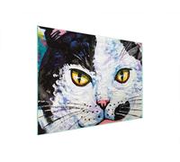 PLAQUE DE PROTECTION EN VERRE POUR POÊLE 70x52 CAT