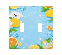 Plaque de protection pour interrupteur à double interrupteur, bloc de glace au citron estival bleu, taille standard, pour chambre à coucher, salle de bain, cuisine, entrée