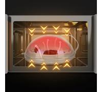 Plaque de protection pour micro-ondes avec aérations à vapeur pour réduire le désordre alimentaire et simplifier le nettoyage dans la cuisine (base)