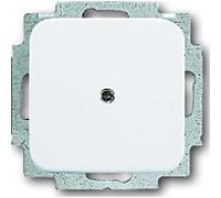 Plaque de recouvrement Busch-Jaeger, 2CKA001715A0275 2538-214, 1 voie avec anneau de support, blanc alpin - Reflex