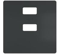 Plaque de recouvrement pour double USB, carbone 5TG2578-0CM 4001869565408 Siemens Dig.Industr.