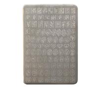 Plaque de stamping en acier inoxydable pour manucure française - Motif tulipes - Texture métallique - Convient pour décoration d'ongles - Accessoire d'art
