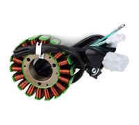 Plaque de stator, Bobine d'alternateur pour Moto Super 2002-2003 KL250-G6 Sherpa | pour Super 2002-2003, KL250-G7 21003-1312, Installation Facile, Construction Durable et Robuste, Ajustement précis